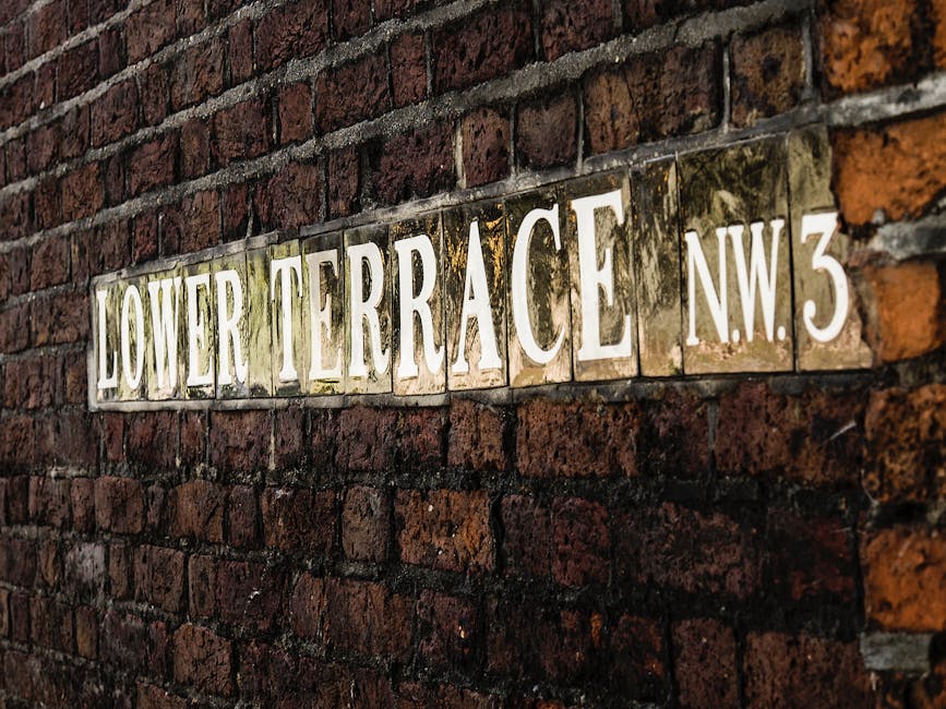 https://flowerdeliveryhampstead.co.uk/blog/best-flowers-near-hampstead-heath-nw3-for-gifts/